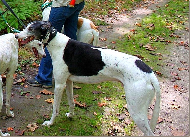 091909_12_nerstrand-park_thumb7_thumb