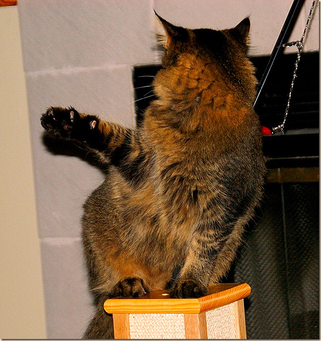 2009 10 31Fidget twisted