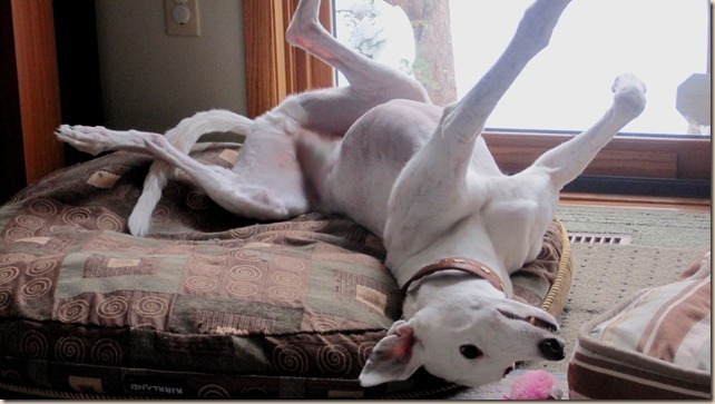 2010-12-16-Rennerb_thumb2_thumb