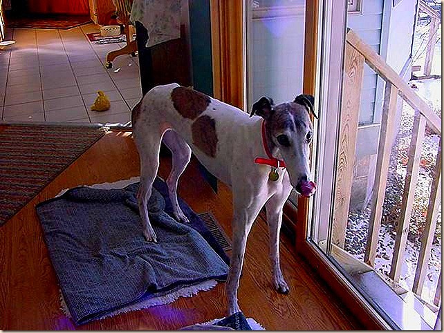 Geter1DSC00015_thumb4