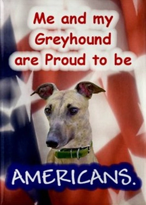 Greyhound 4th of July