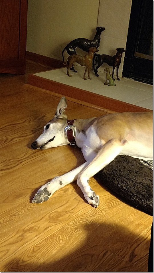 IMG_20170323_195120146