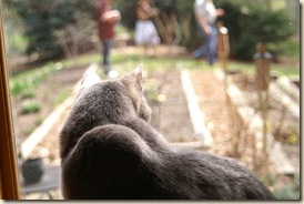 Monty watch kite flying reduced