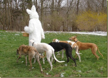 n703507734_1615304_6120[1]