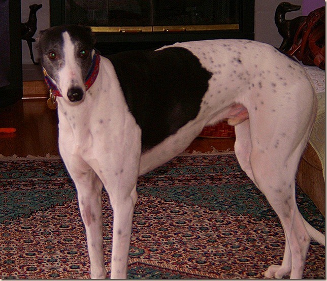 PICT0013_thumb6_thumb