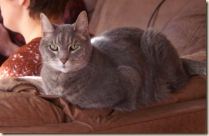 PICT0055montycouchcropped