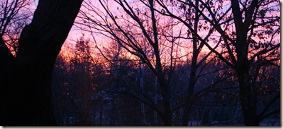 sunrise cropped