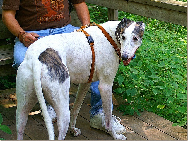 wallyand-bruce_thumb5_thumb