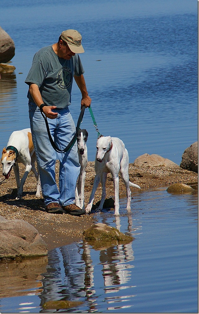 Weekend Reflections - hounds and Bruce