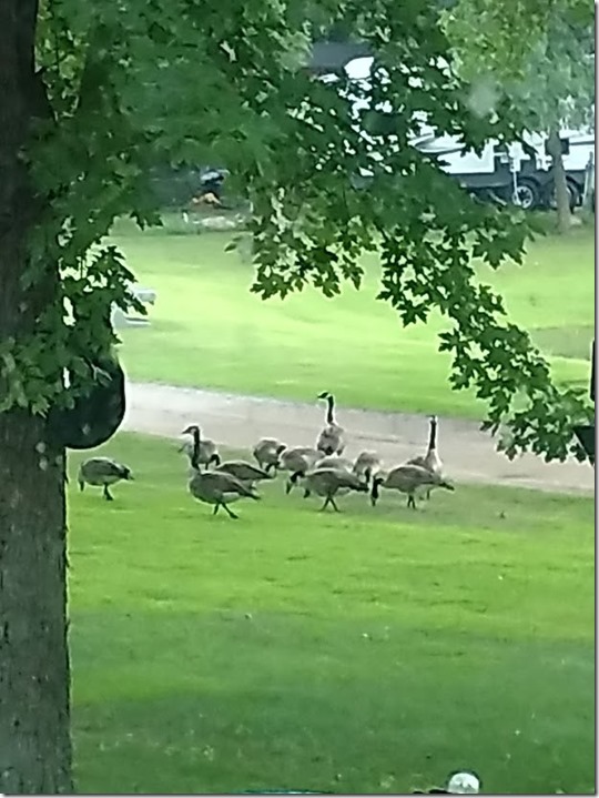 7.20,18 Rain on the Mississippi