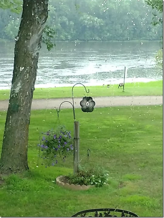 IMG_20180720_074516340