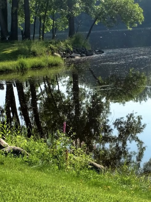 left point on river 7.23.18.jpg