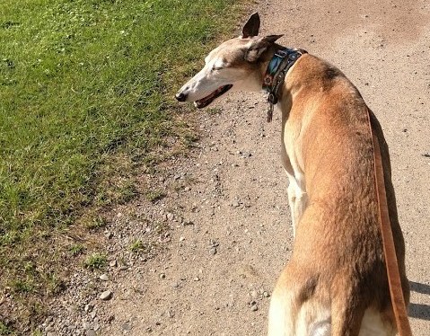 Today On The&nbsp;Mississippi