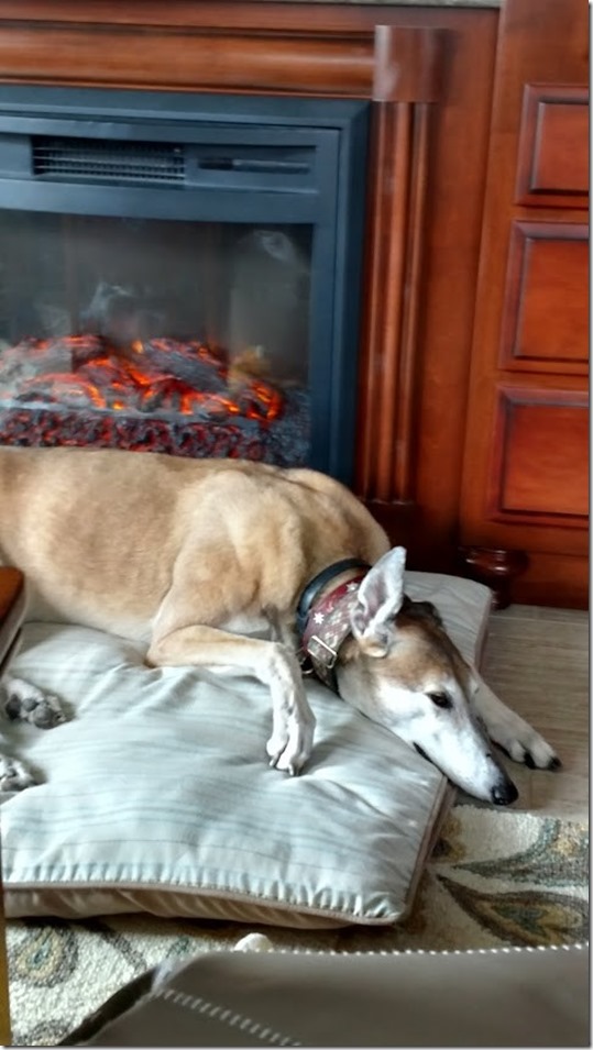 Mandy in front of camp fireplace 7.18