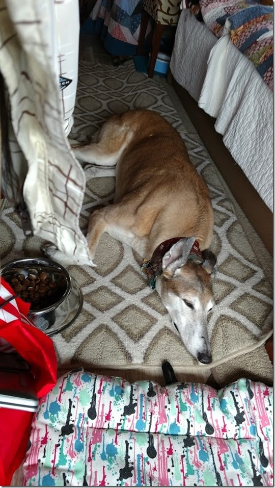 Mandy sleeping behind her bed while traveling 7.18