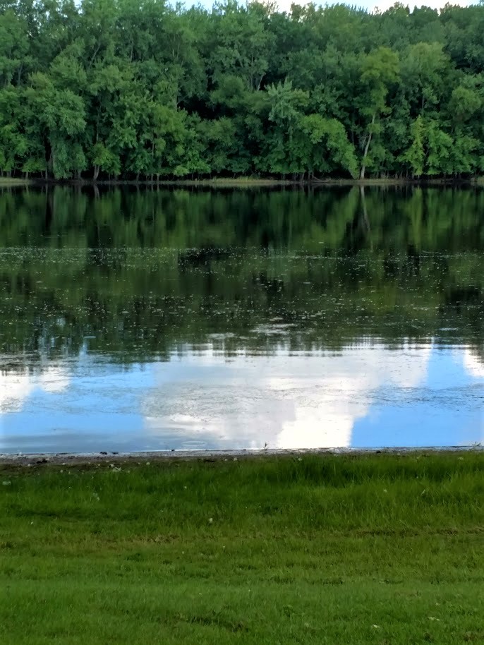 Mississippi reflection 7.31.18.jpg