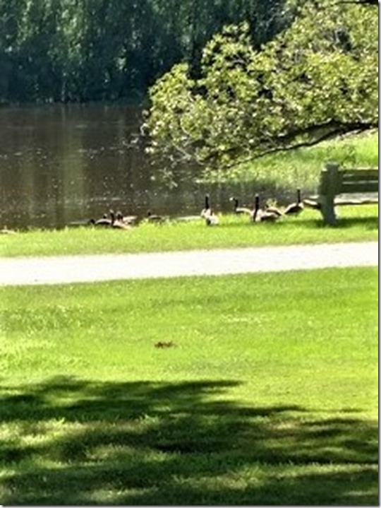 Today on Miss2 7.18.18