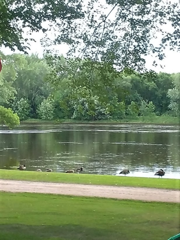 Today on Miss2 7.26.18.jpg