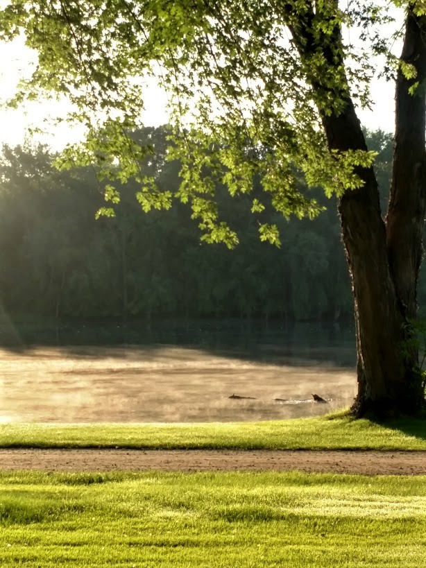 Today on the Miss4 2.24.18.jpg