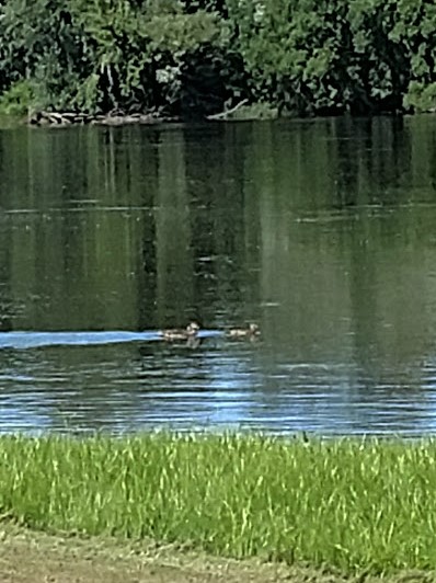 Today On The Miss5 7.25.18.jpg