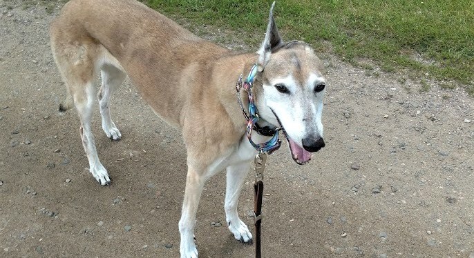 Today On The&nbsp;Mississippi