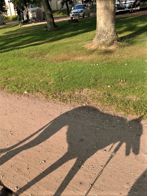 mandy shadow 8.16.18.jpg