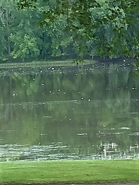 Today on Miss 8.6.18.jpg