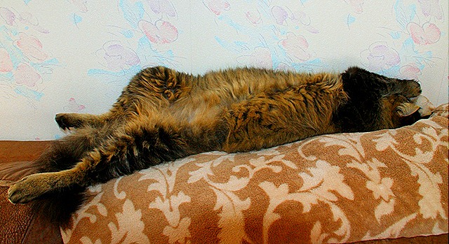 2010 03 14-19 103[5].jpg