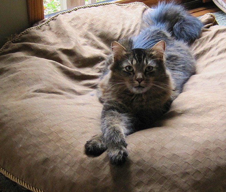 October 16-17 2010 024[5].jpg