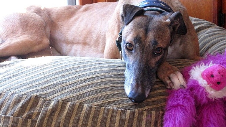 Mandy  027resized[4].jpg